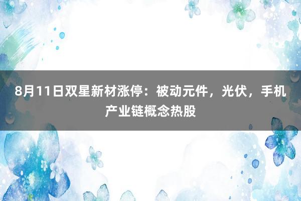 8月11日双星新材涨停：被动元件，光伏，手机产业链概念热股