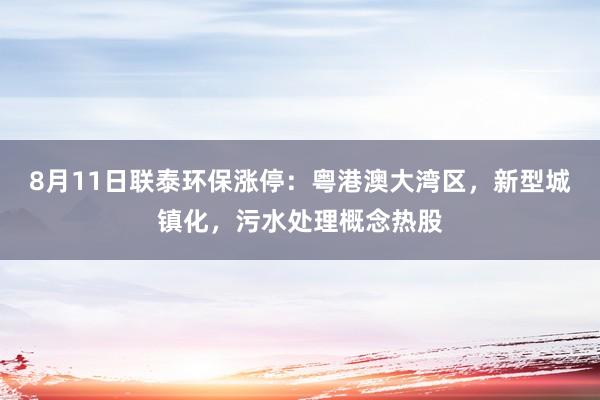 8月11日联泰环保涨停：粤港澳大湾区，新型城镇化，污水处理概念热股
