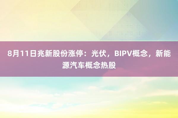8月11日兆新股份涨停：光伏，BIPV概念，新能源汽车概念热股