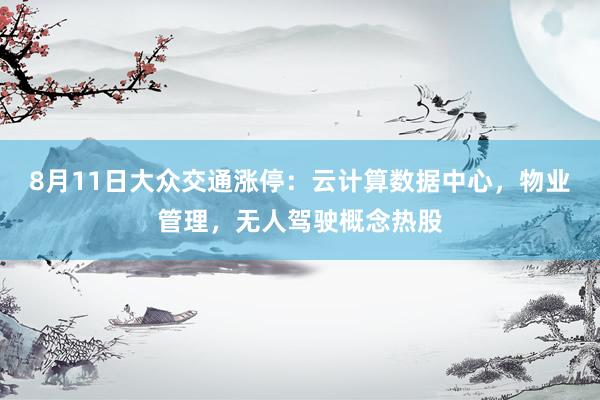 8月11日大众交通涨停：云计算数据中心，物业管理，无人驾驶概念热股