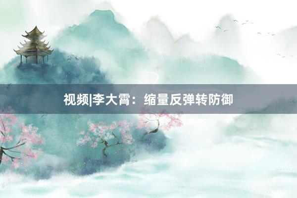 视频|李大霄：缩量反弹转防御