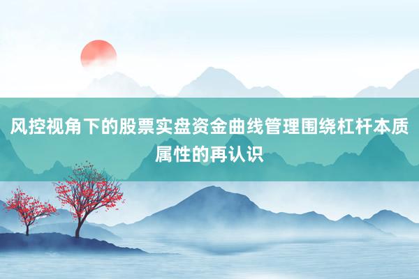 风控视角下的股票实盘资金曲线管理围绕杠杆本质属性的再认识