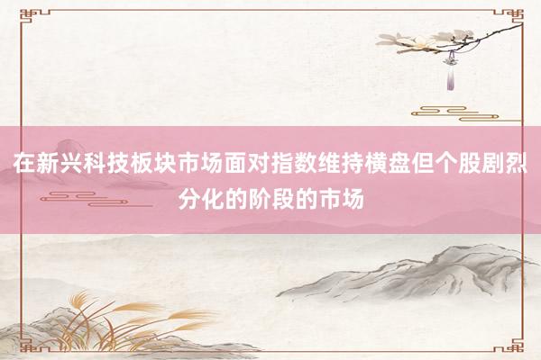 在新兴科技板块市场面对指数维持横盘但个股剧烈分化的阶段的市场