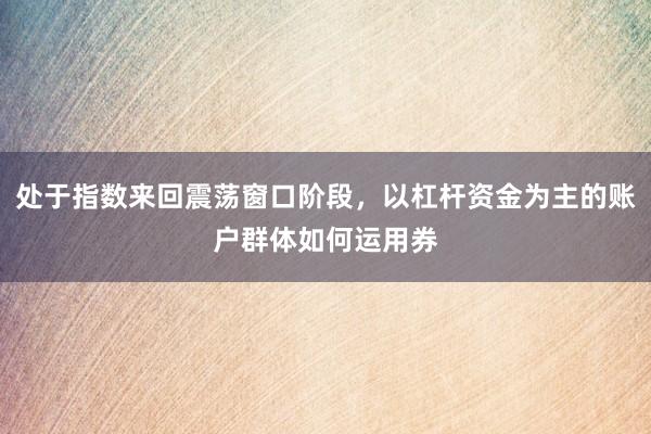 处于指数来回震荡窗口阶段，以杠杆资金为主的账户群体如何运用券