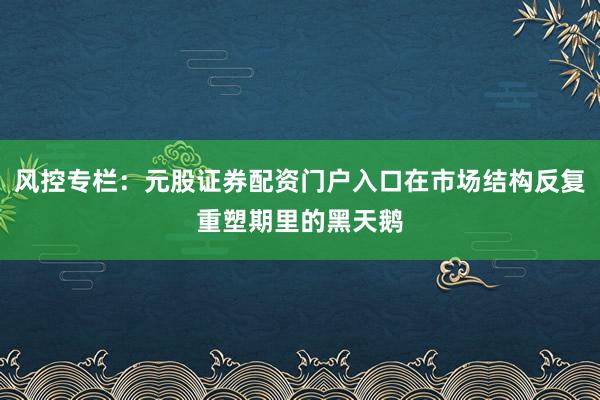 风控专栏：元股证券配资门户入口在市场结构反复重塑期里的黑天鹅