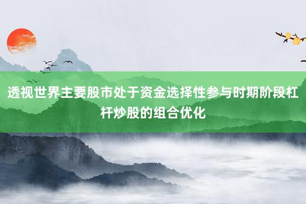 透视世界主要股市处于资金选择性参与时期阶段杠杆炒股的组合优化
