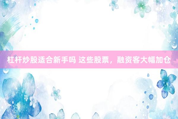 杠杆炒股适合新手吗 这些股票，融资客大幅加仓