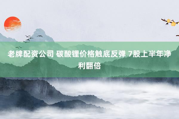 老牌配资公司 碳酸锂价格触底反弹 7股上半年净利翻倍