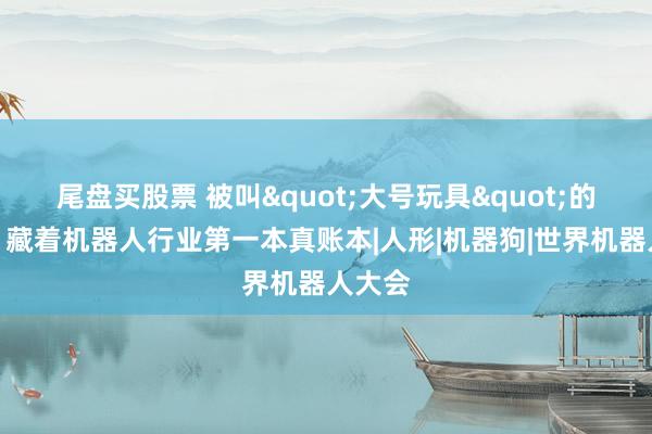 尾盘买股票 被叫"大号玩具"的宇树，藏着机器人行业第一本真账本|人形|机器狗|世界机器人大会