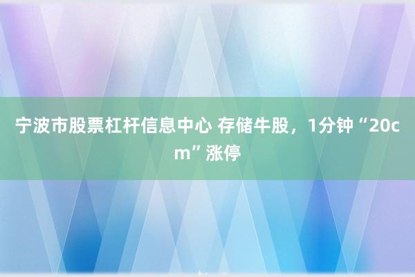 宁波市股票杠杆信息中心 存储牛股，1分钟“20cm”涨停