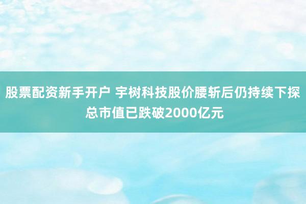 股票配资新手开户 宇树科技股价腰斩后仍持续下探 总市值已跌破2000亿元