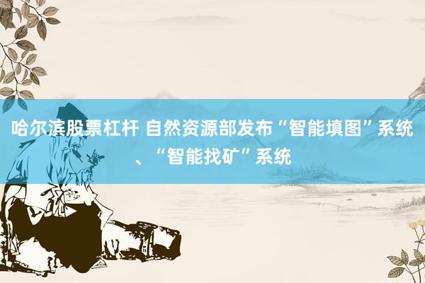 哈尔滨股票杠杆 自然资源部发布“智能填图”系统、“智能找矿”系统