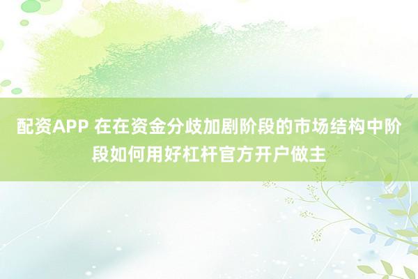 配资APP 在在资金分歧加剧阶段的市场结构中阶段如何用好杠杆官方开户做主