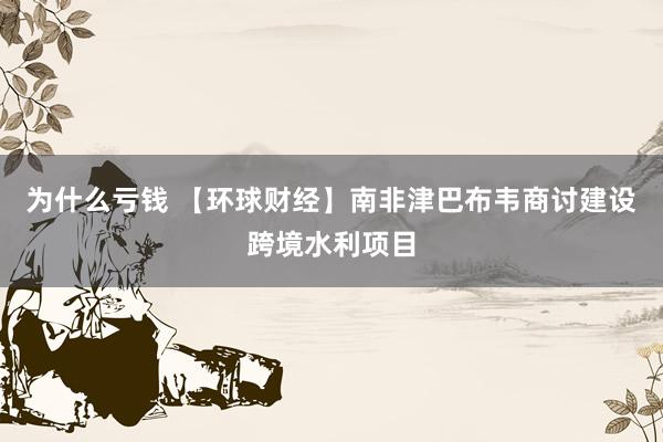 为什么亏钱 【环球财经】南非津巴布韦商讨建设跨境水利项目
